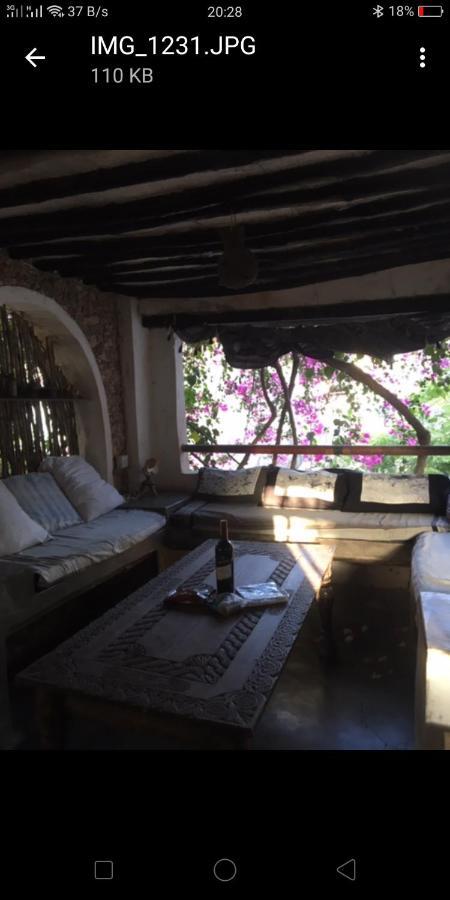 Wildebeeste Lamu Bagian luar foto